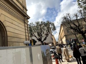Riqualificazione di via Trinchese a Lecce: nuove panchine antibivacco e canti...