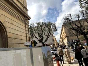 Riqualificazione di via Trinchese a Lecce: nuove panchine antibivacco e canti...
