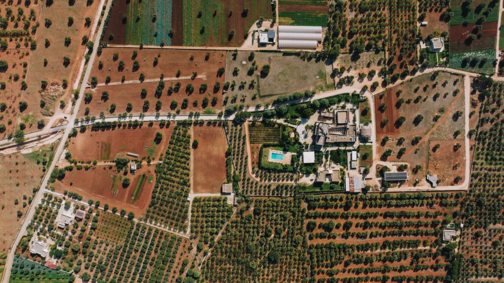 La-Pasquetta-salentina-agriturismi-e-picnic-in-voga-il-turismo-di-prossimit