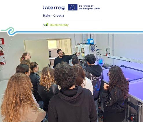 La scienza del mare tra Salento e Croazia: i giovani studenti partecipano al ...