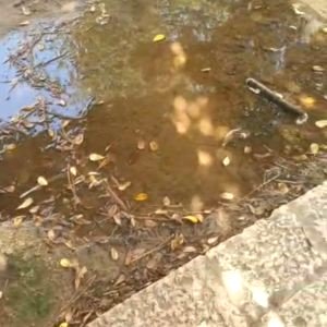 Pozzanghere sospette in piazza Vittorio Emanuele II: i residenti di Lecce rec...