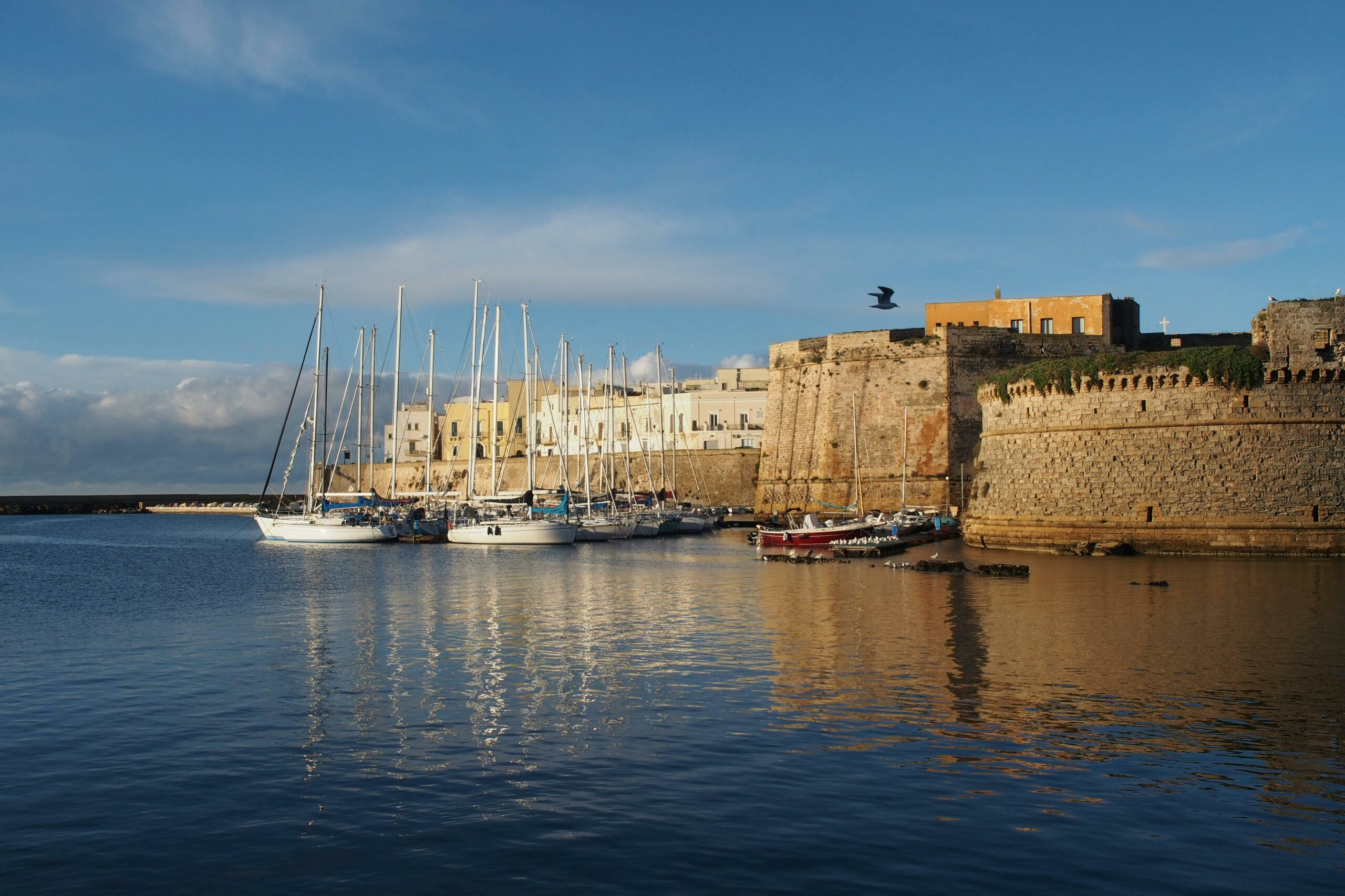 Gallipoli-si-prepara-a-disobbedire-alla-forma-ecco-Babele-Off-2026