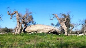 I segreti dei megaliti del Salento