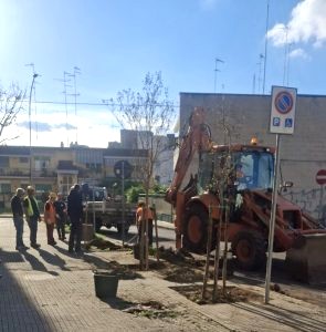 Il volto nuovo di Santa Rosa: 15 nuovi alberi e marciapiedi ripristinati, ma ...